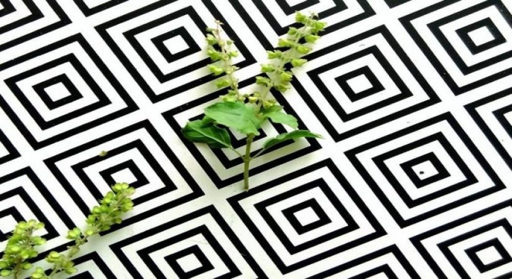 The Weekend Leader - Beat Monsoon blues with ancient herb remedies